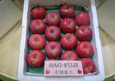 Bag Fuji apples from China.